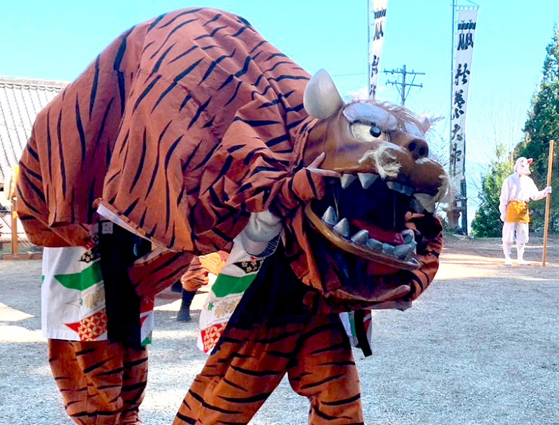 各地区で春季祭典～小虎の可愛さが反則級の新田虎舞 - たかもり通信